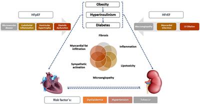 Cardiorenal syndrome and diabetes: an evil pairing